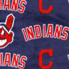 MLB Indians