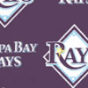 MLB Rays