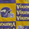 NFL Vikings Printed Fleece Fabric