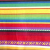 Aztec 310 Printed Fleece Fabric