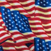 Flags Blue  Anti-Pill Plush Fleece
