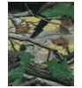 Outdoors Deepwoods Orange Double Brushed Fleece