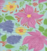 Outdoors Zelda Aqua Double Brushed Fleece