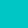Turquoise Anti-Pill Plush Fleece